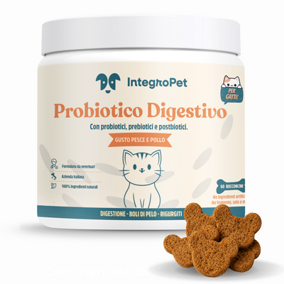 Probiotique digestif pour chat