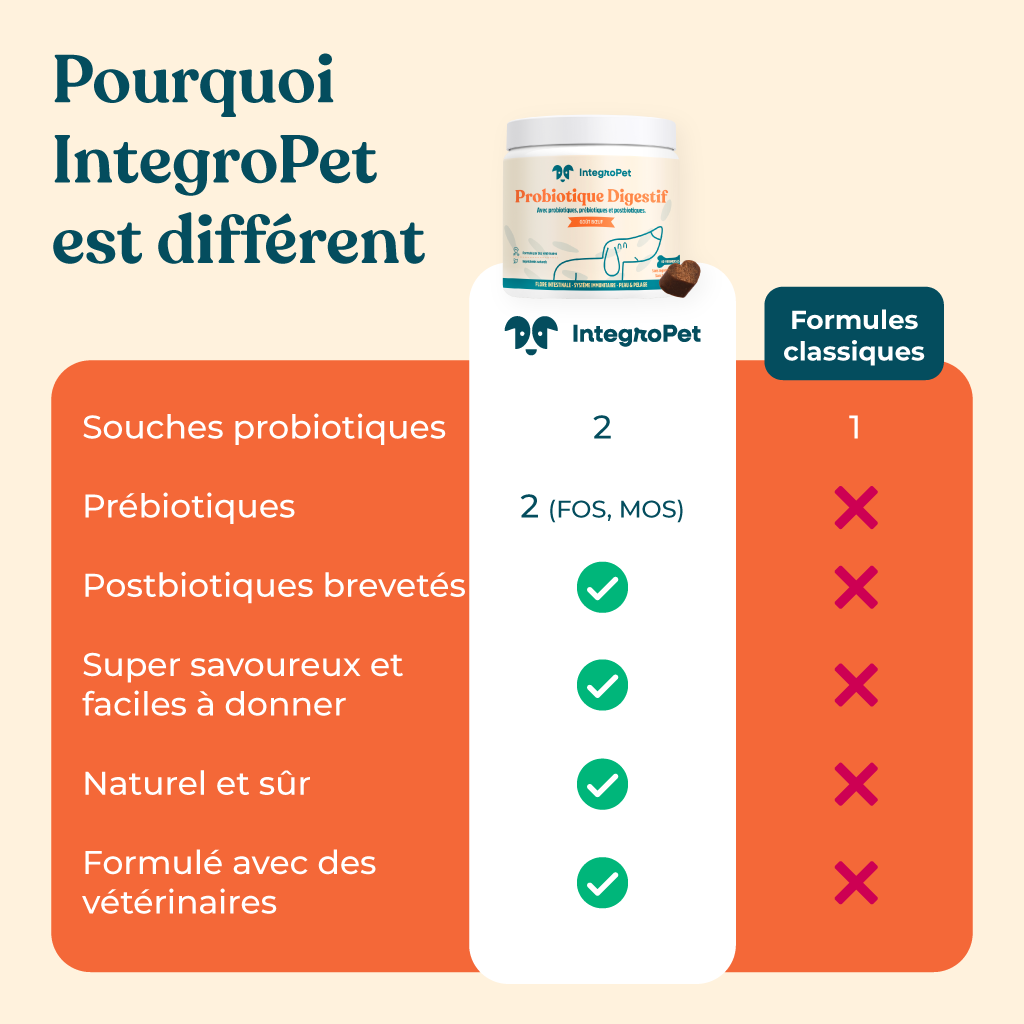 Probiotique Digestif