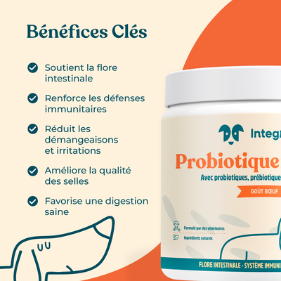 Probiotique Digestif