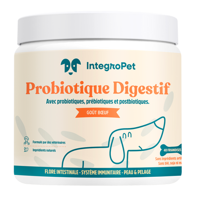 Probiotique Digestif