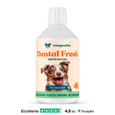 FR Dental Fresh