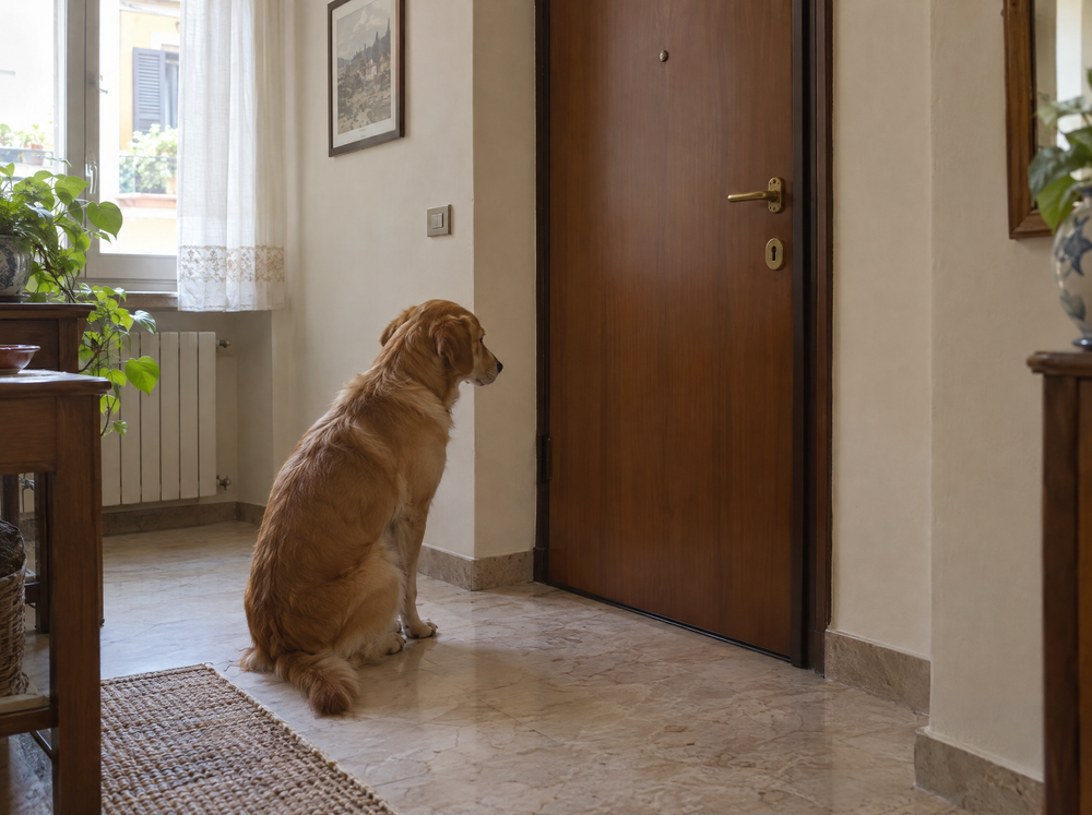 Quando lo stress diventa la normalità